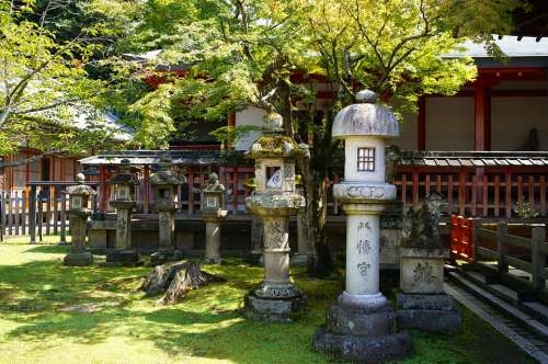 Kyoto The Scenery Temple Maple
