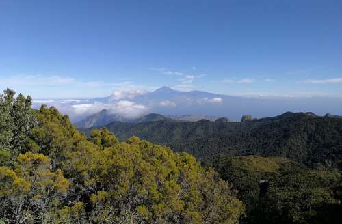 La Gomera Garajonay National Park Top Teide