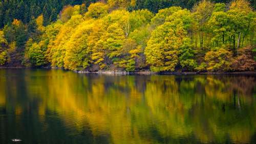 Lake Green Autumn Water Reflection Yellow Trees