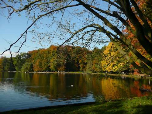 Lake Autumn Fall Nature Water Sky Season