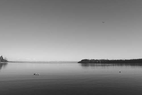 Lake Constance Lake Quiet Black And White Rest