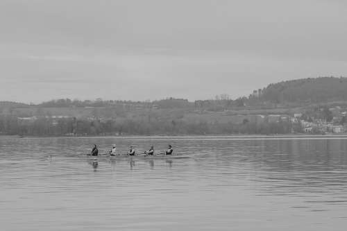 Lake Constance Rowing Rowing Boat Canoeing Nature