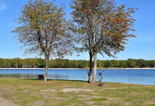 Landscape Nature Tree Rest Sky Water Lake Mood