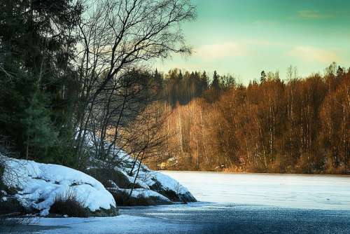 Landscape Winter Water Nature Cold Trees