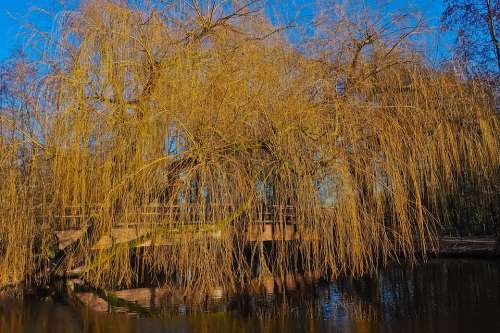 Landscape Channel Nature Water Rest Sky Blue