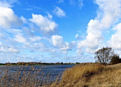 Landscape River Elbe Bank Northern Germany Winter