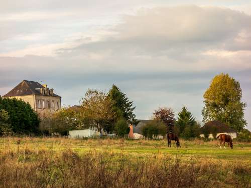 Landscape France Normandy Prairie Fields Horses