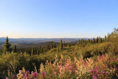 Landscape Dempster Highway Eagle Plains Yukon