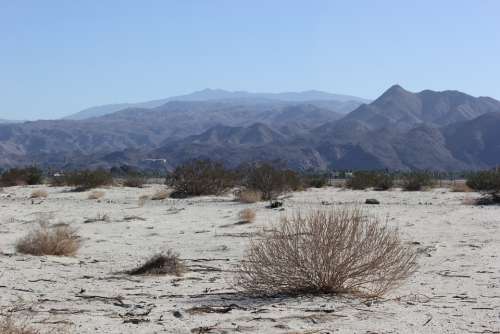Landscape Desert Palm Springs Mountains