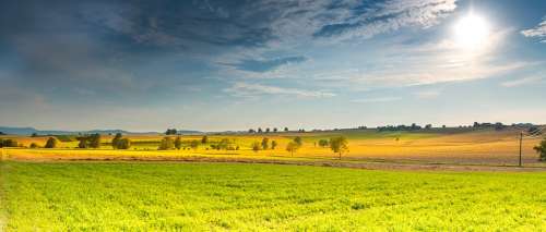 Landscape Summer Fields Meadow Nature