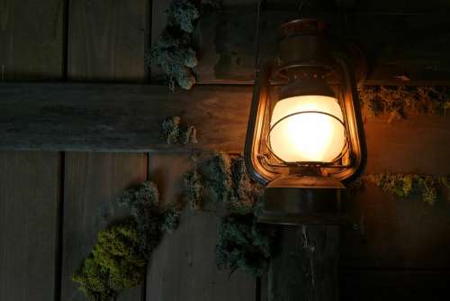 Lantern Wood Plant Lamp Zen Light Nature Vintage