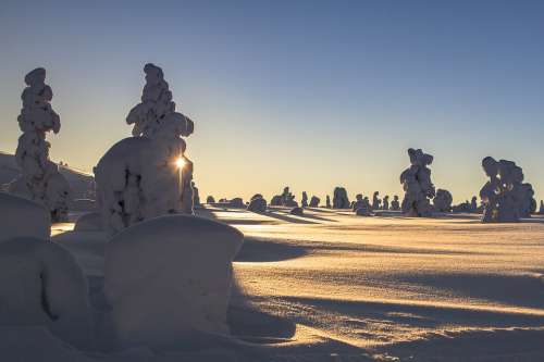 Lapland Winter Snow Landscape Wintry Finland Cold