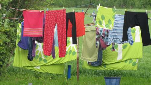 Laundry Clothing Green Summer
