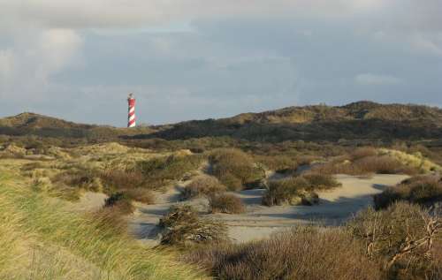 Lighthouse Dunes Sea North Sea Beach Texel Coast