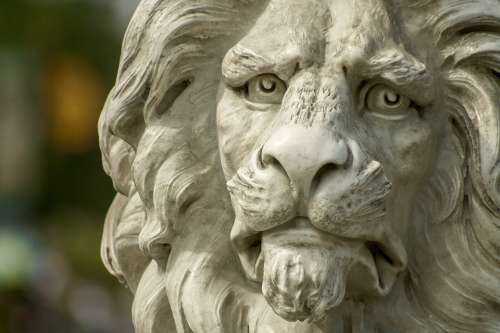 Lion Statue Bust Animal