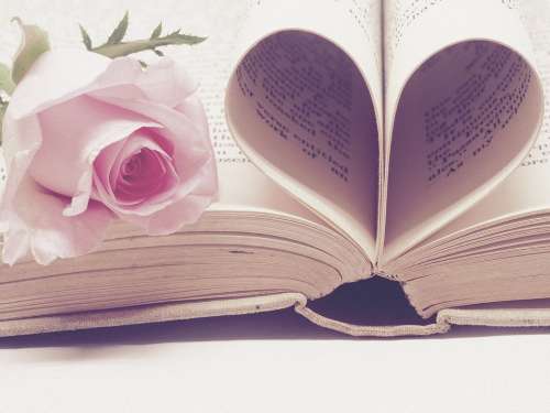 Literature Book Bindings Page Book Paper Love