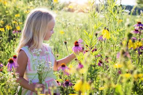 Little Girl Wildflowers Meadow Child Happiness