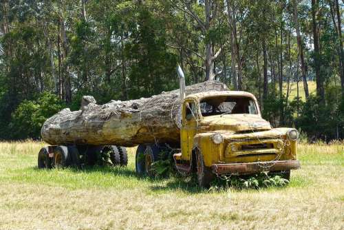 Log Truck Wreck Logging Truck Log Timber