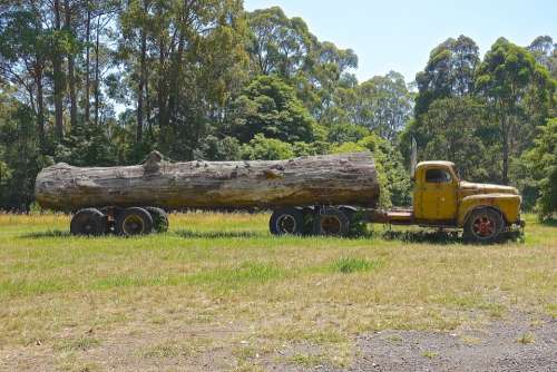 Log Truck Wreck Logging Truck Log Timber