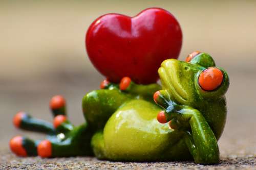 Love Valentine'S Day Pose Heart Funny Frog Animal