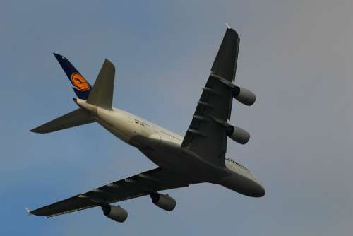 Lufthansa Aircraft Travel Airport Aviation Flying