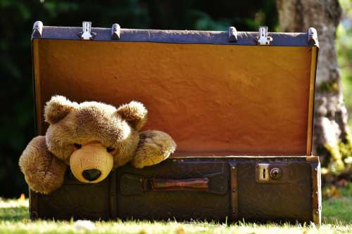 Luggage Antique Teddy Soft Toy Stuffed Animal Toys