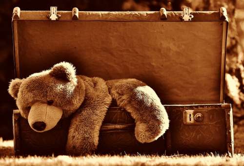 Luggage Antique Teddy Sepia Soft Toy