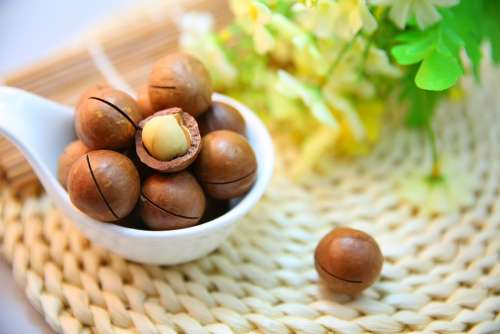 Macadamia Nuts Nut Protein Snack Food Cracked