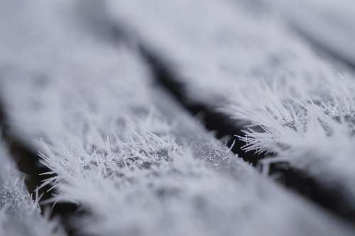 Macro Close Up Frozen Frost Cold Nature Icy Iced