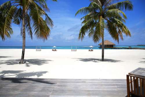 Maldives Sea Water Travel Holiday Nature Beach