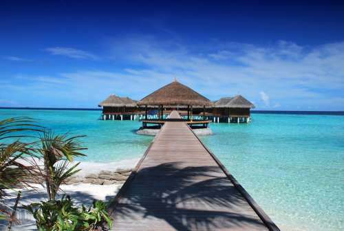 Maldives Beach Holiday Ocean Nature Sand Water