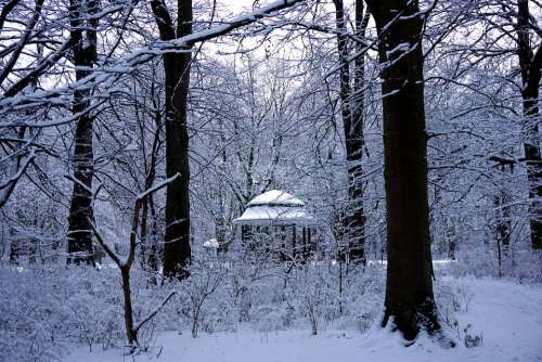 Malmö Winter Sweden Outdoor Skåne Christmas