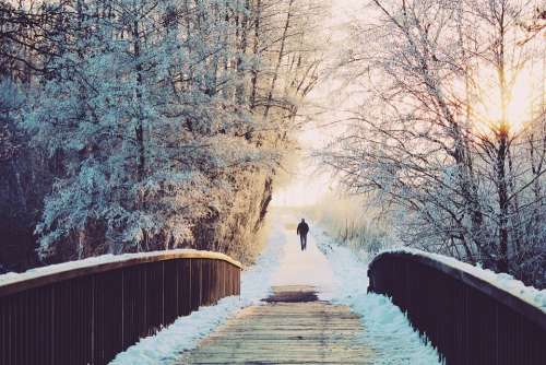 Man Bridge Lonely Walk Wintry Winter Landscape