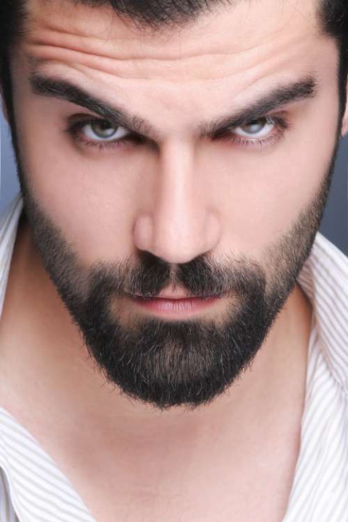 Man Beard Eyes Male Portrait Handsome Face