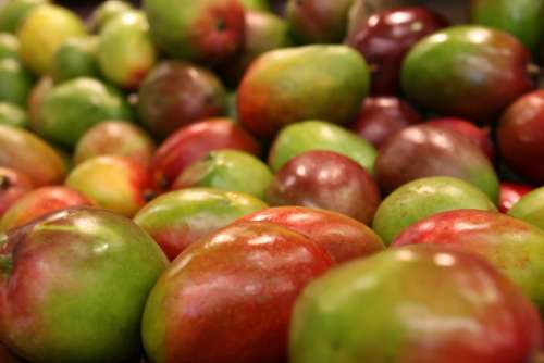 Mango Fruit Colorful Food Fresh Ingredient Exotic