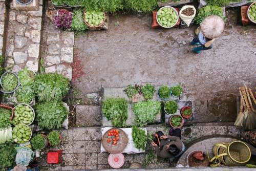 Market Vegetables Garden Asia Japan Japanese