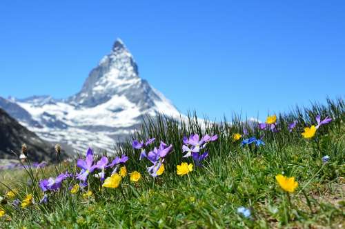 Matterhorn Alpine Zermatt Mountains Gornergrat