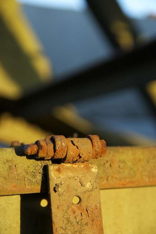 Metal Rust Old Decay Ailing Rusted Iron Screw