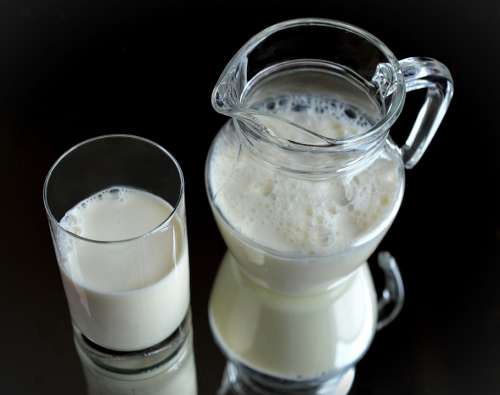 Milk Glass Fresh Healthy Drink Nutritious Krug