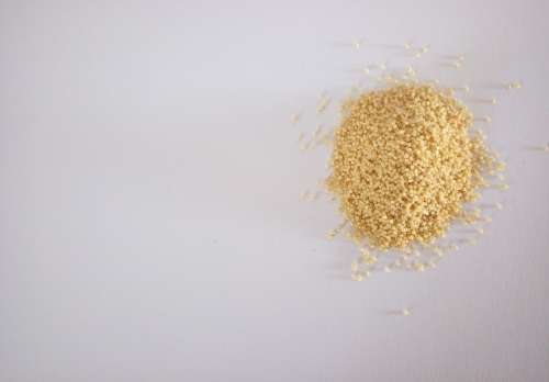 Millet Food Grain Golden Yellow Close Up Bio