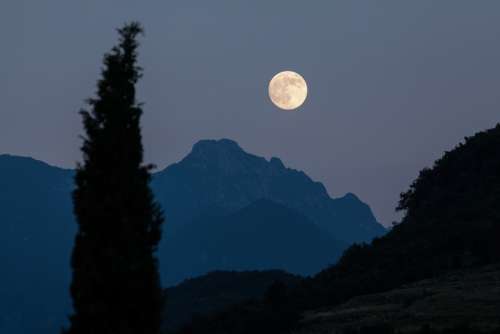 Moon Cypress Mountains Moonrise Full Moon Romantic