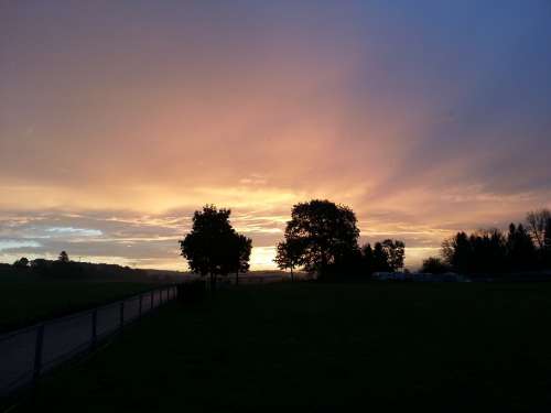 Morgenstimmung Trees Clouds Sunset