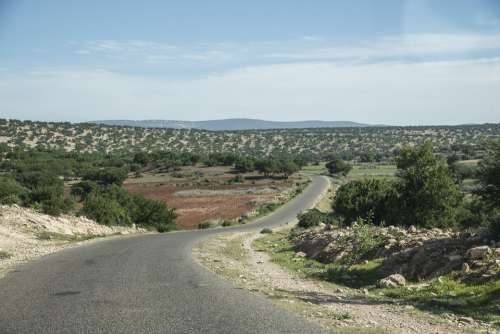 Morocco Road Trees Argan Oil Landscape Rural Sky