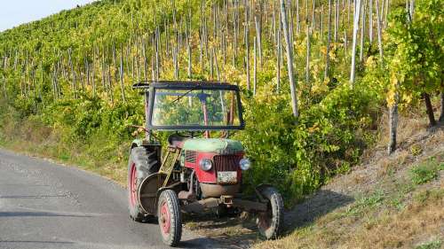Mosel Wine Harvest Tractor Old Autumn Nature