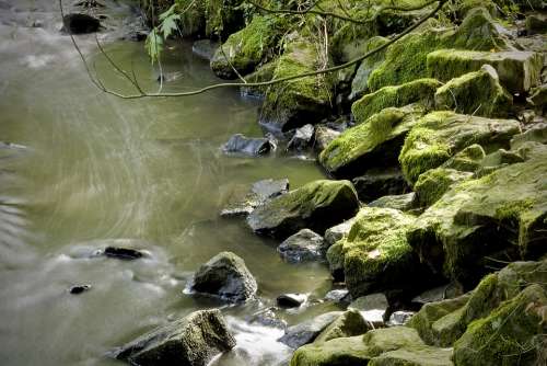 Moss River Landscape Water Nature