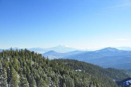 Mountain Shasta Forest California Landscape Peak