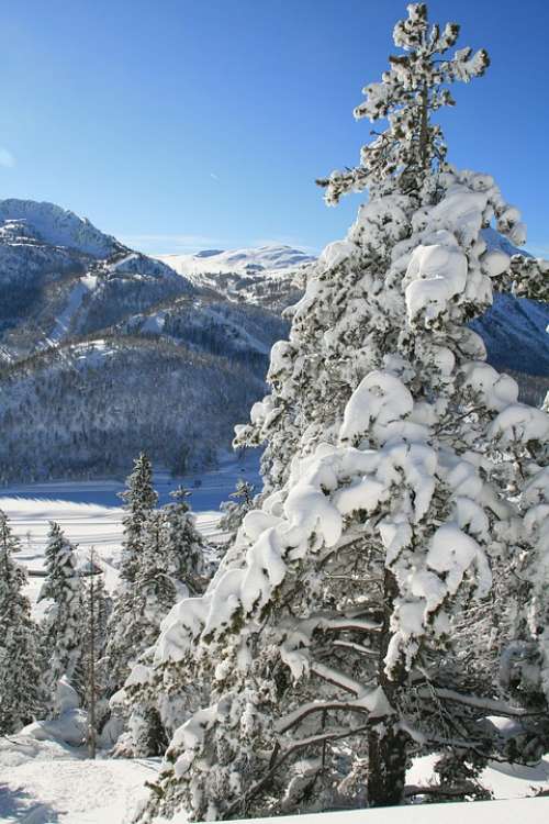 Mountain Snow Winter Montgenèvre Landscape Trees