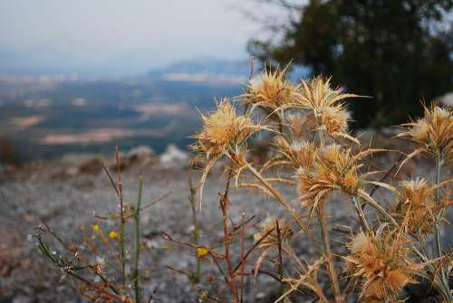 Mountains Rocks Plants Bosnia View Cooling