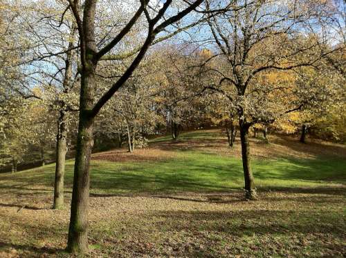 Munich Westpark Trees Slope Leaves Autumn Mood