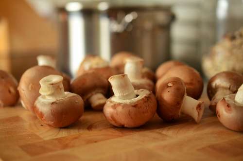Mushrooms Brown Mushrooms Cook Eat Food Close Up